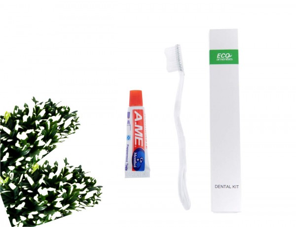 ECO Amenities Manual Disposable Toothbrush with Toothpaste, Individually Wrapped Paper Box, 100 Sets per Case