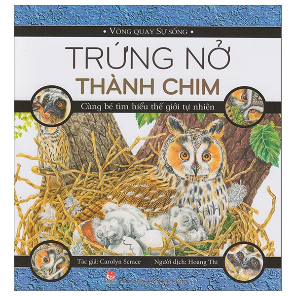 Trứng Nở Thành Chim