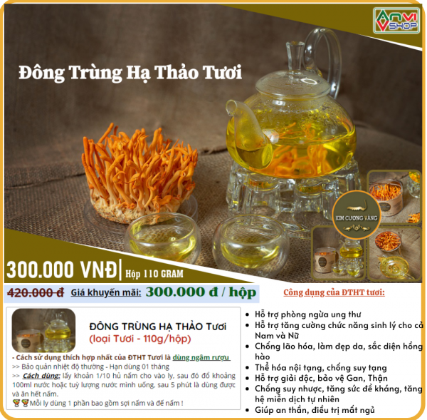 [HCM]Đông Trùng Hạ Thảo KIM CƯƠNG VÀNG (Loại tươi 110g)